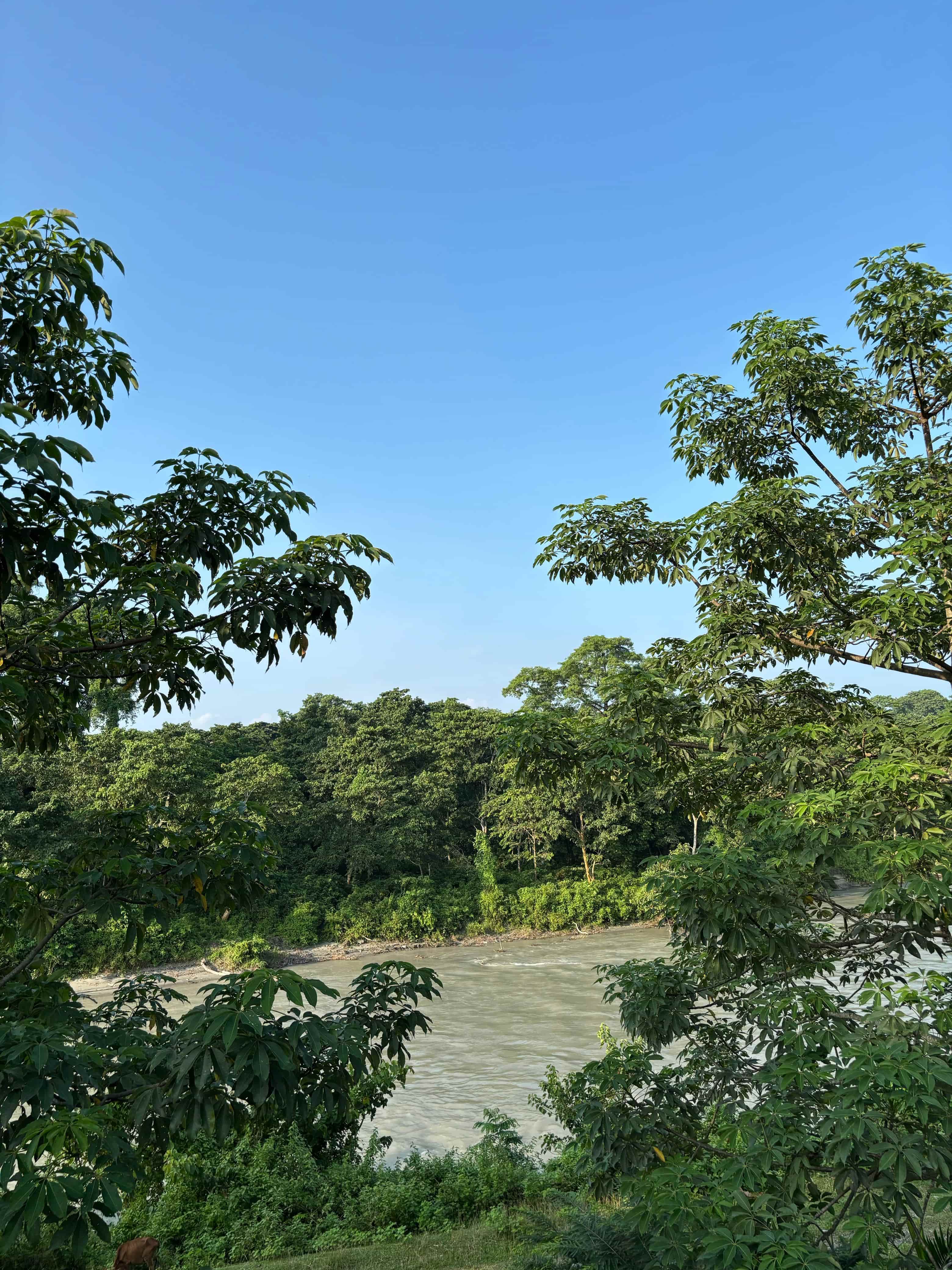 bamboo-bamboobedroom-4